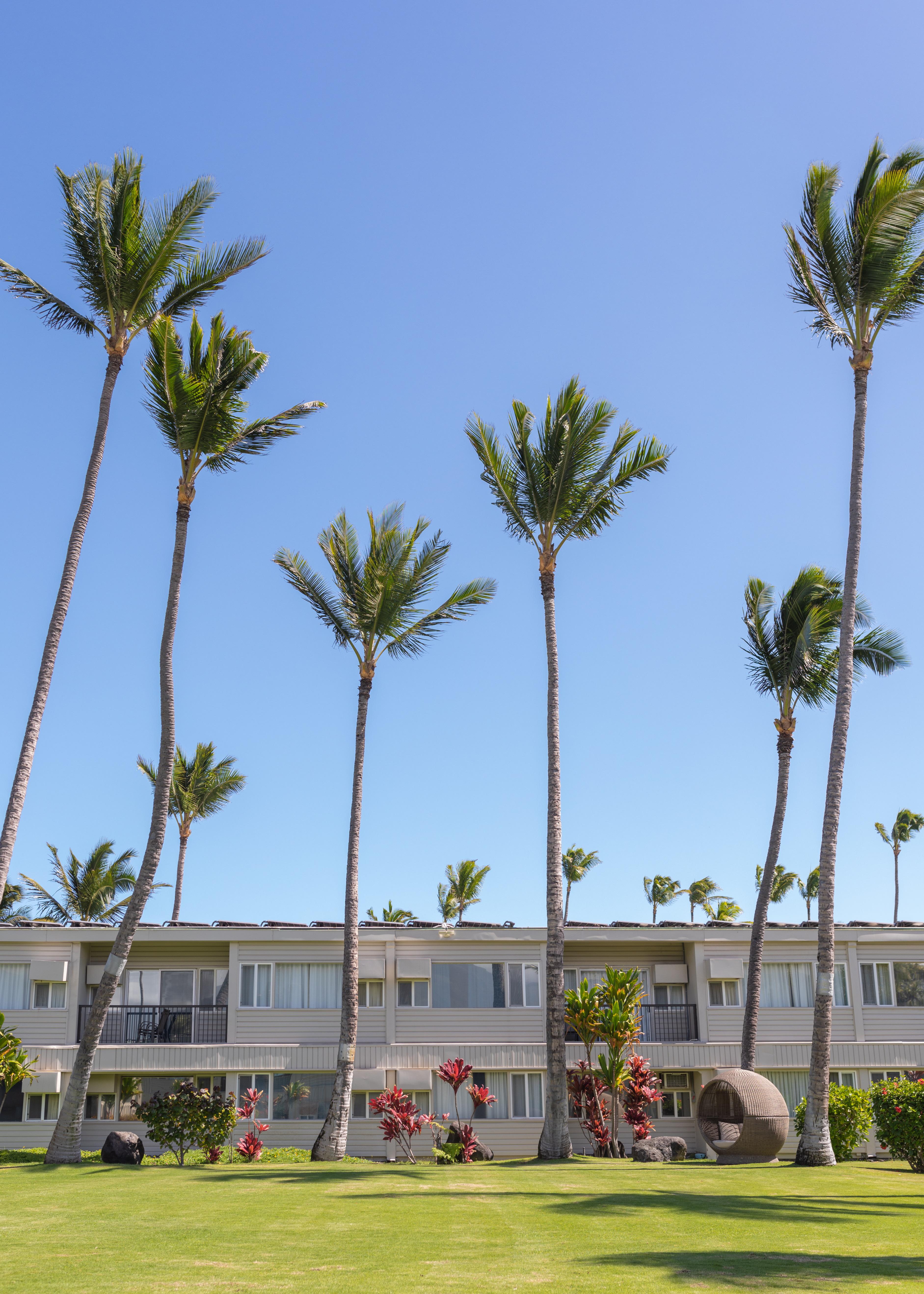 Maui 3*